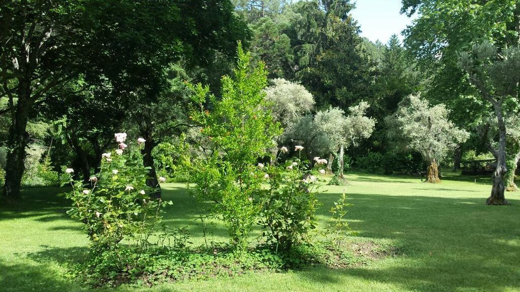 Rancho La Herradura Arenas de San Pedro Habitación foto
