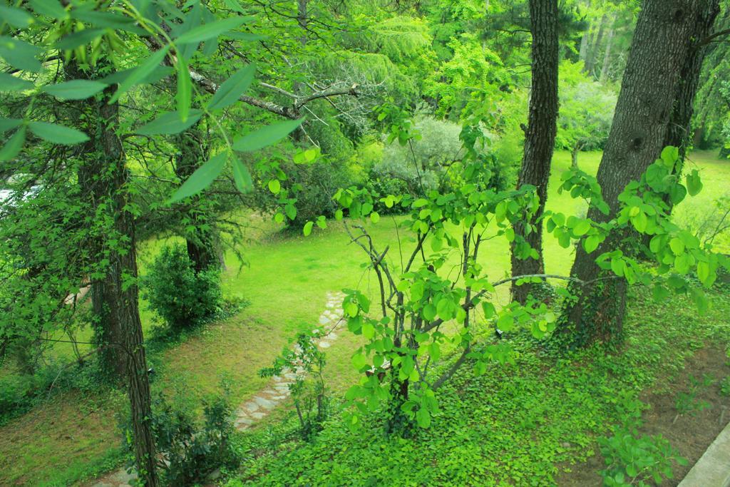 Rancho La Herradura Arenas de San Pedro Habitación foto